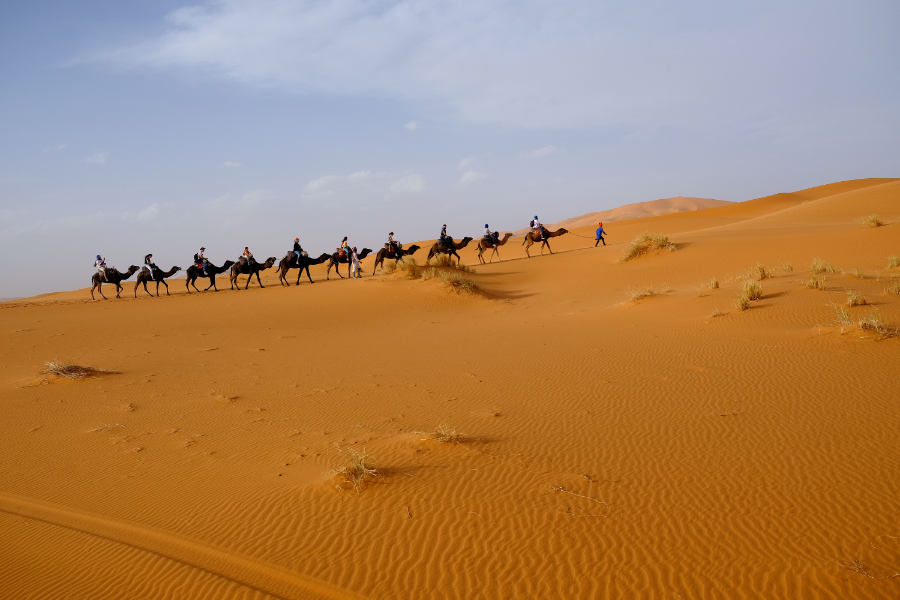 There is a blue sky and yellow sandy desert, with the picture taken at an angle. A man wearing a blue shirt and red hat is leading nine camels. Each camel is being ridden by a rider, with the fifth rider being accompanied by a person on foot.