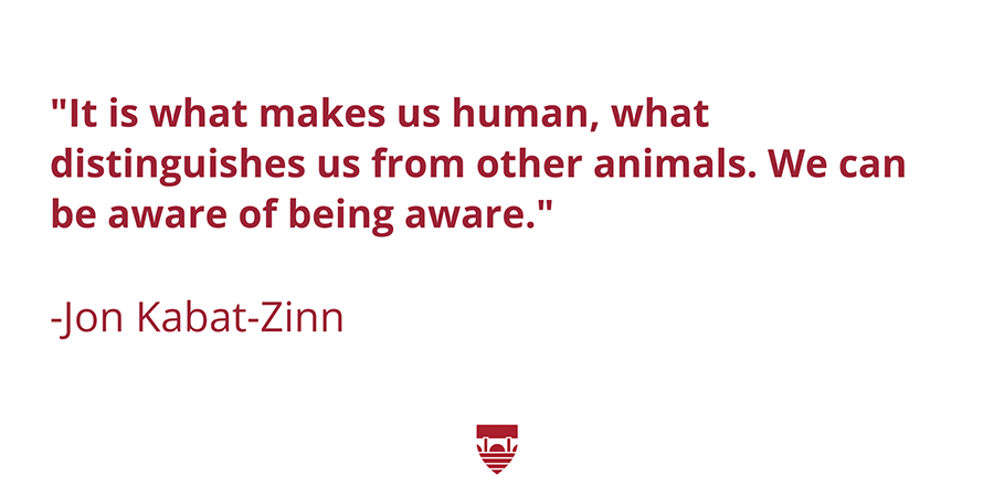 In the center of the frame in bold red letters, the quote by Jon Kabat-Zinn “It is what makes us human, what distinguishes us from other animals. We can be aware of being aware.” This quote is accompanied by the Institute of Coaching’s Logo, a red shield. The shield is in the lower center of the image. 