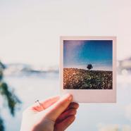 A white female hand with nail polish and ring on its index finger is holding a polaroid to the left center of the photo. The photograph is of a landscape with fall foliage on the bottom, a lone tree to the top right, and blue sky at the top.  