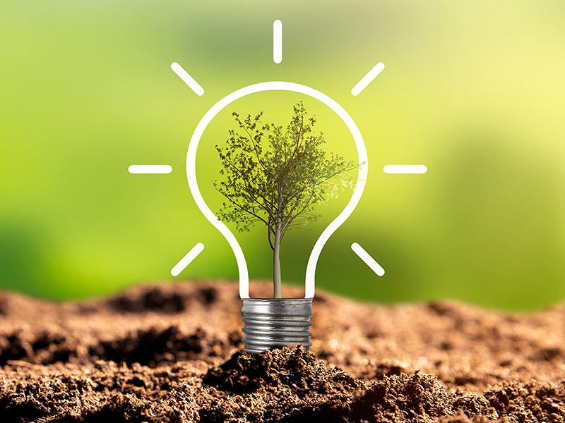 White outline of a shining lightbulb, planted in dirt with a tree inside on a verdant background