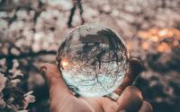 The background of the picture is a blurry tree that is flowering. A white hand in the bottom center of the picture is holding a clear globe in their hand. The globe is reflecting the background, and an upside down tree shows up in the globe. 
