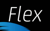 Flex - The Art and Science of Leadership in a Changing World