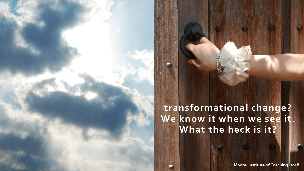 What the Heck is Transformational Change Visual Tour